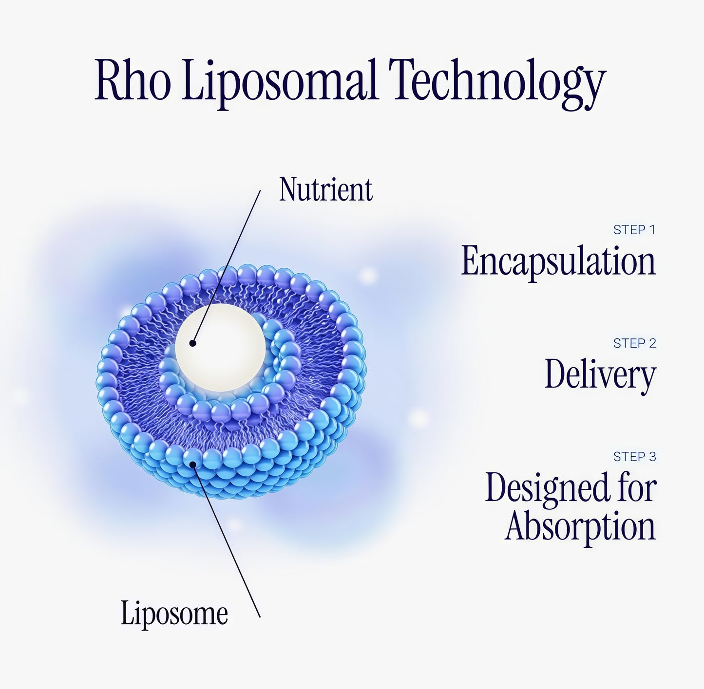 Rho Nutrition Liposomal NAD+-LiquidSupplement Designed to Help supportAbsorption -Active Form of NAD+Helps support Normal Cellular Health,Healthy Aging, Energy Metabolism andOverall Vitality